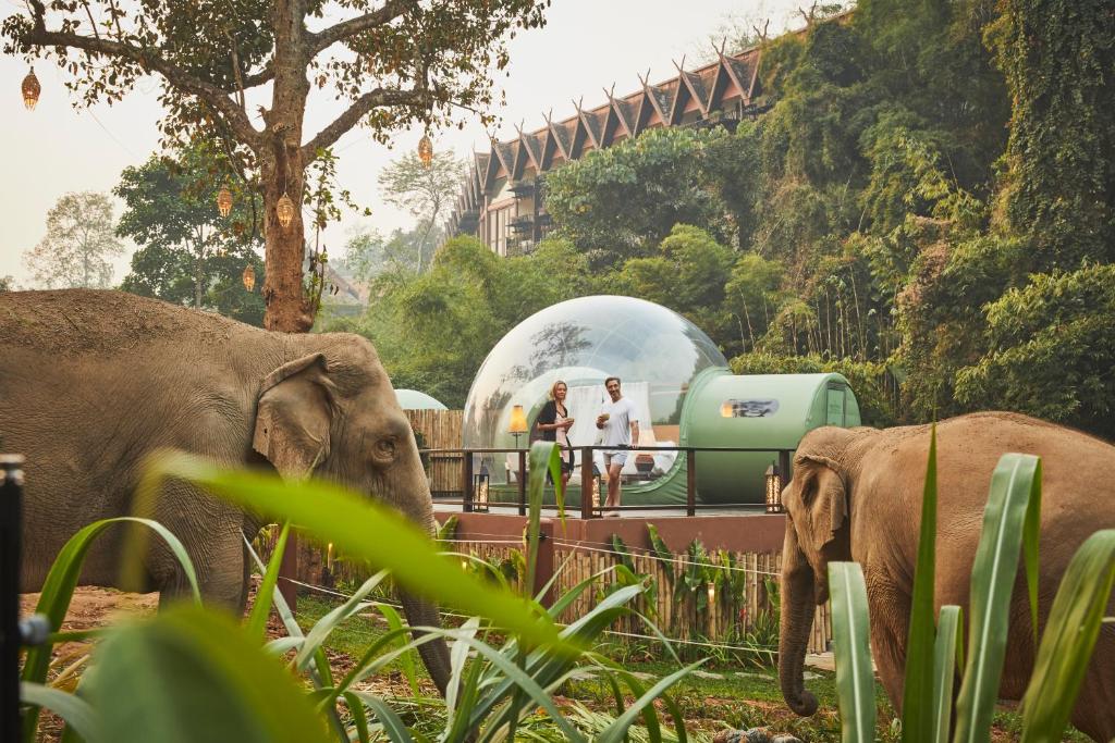 Anantara Golden Triangle Resort and Spa